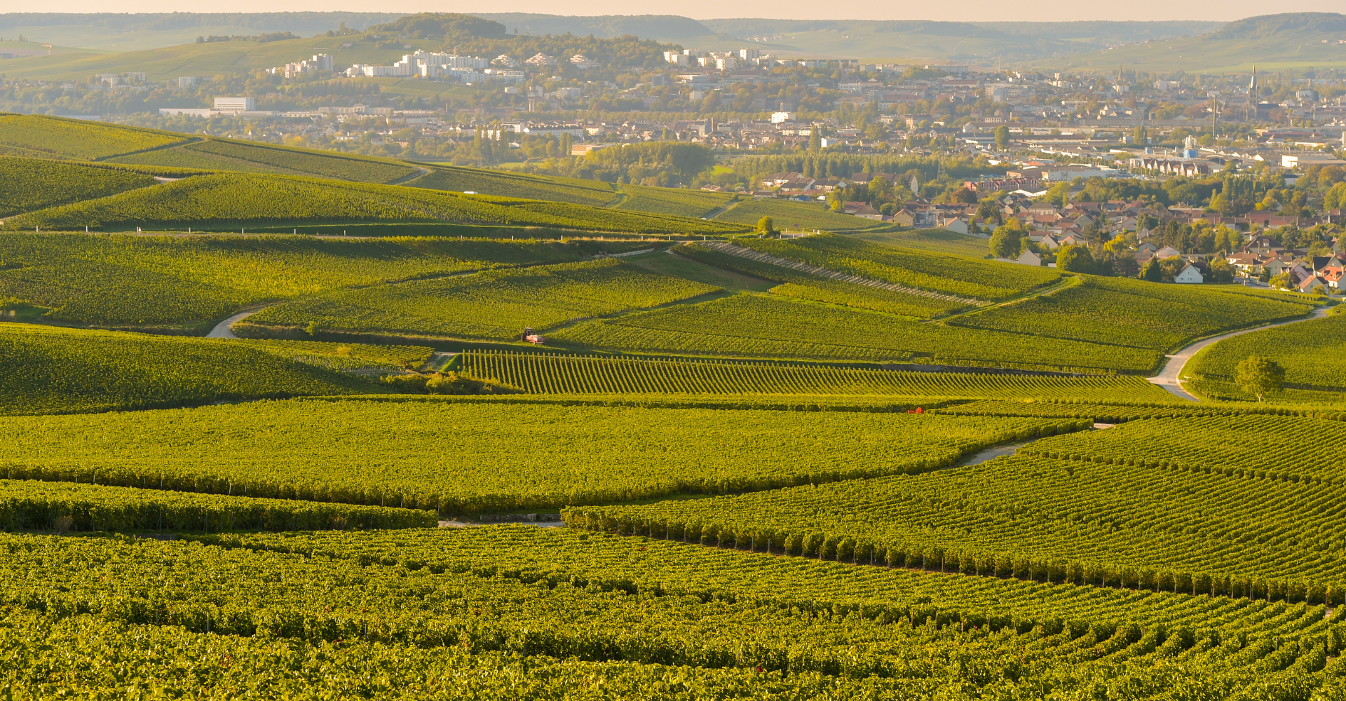 Week-end œnotourisme dans la Marne